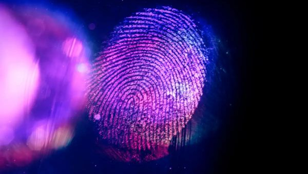 Image_20260202-Fingerprint